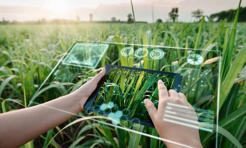 Top 5 AI Tools for Agriculture in India - 2026 Guide